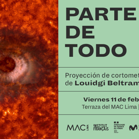 PARTE DE TODO | Proyección de cortometrajes de Louidgi Beltrame