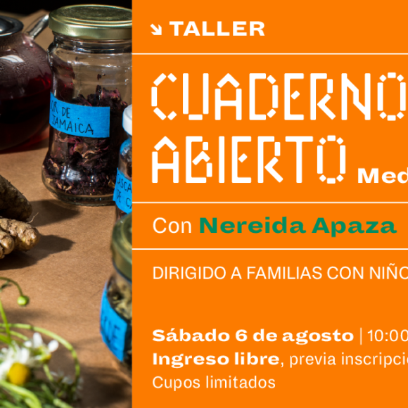 [#Taller] MEDIOAMBIENTE con Nereida Apaza | Cuaderno Abierto